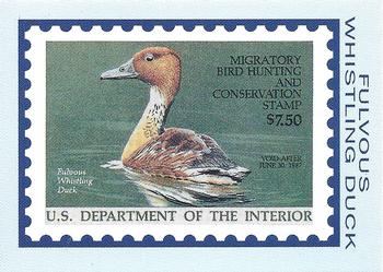 1992-94 Bon Air Federal Duck Stamps #RW53 Fulvous Whistling Duck Front