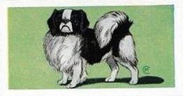 1958 Mills Dogs #15 The Japanese Spaniel Front
