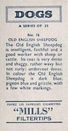 1958 Mills Dogs #16 Old English Sheepdog Back
