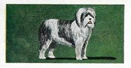 1958 Mills Dogs #16 Old English Sheepdog Front