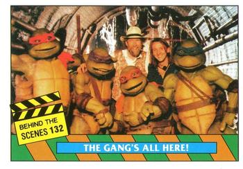 1990 Topps Ireland Ltd Teenage Mutant Ninja Turtles: The Movie #132 The Gang's All Here! Front