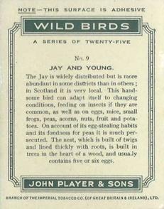 1934 Player's Wild Birds (Large) #9 Jay and Young Back