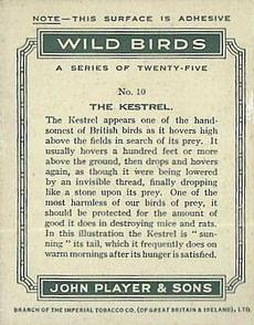 1934 Player's Wild Birds (Large) #10 The Kestrel Back