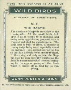 1934 Player's Wild Birds (Large) #11 The Magpie Back