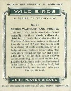 1934 Player's Wild Birds (Large) #24 Sedge-Warbler and Young Back