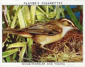 1934 Player's Wild Birds (Large) #24 Sedge-Warbler and Young Front