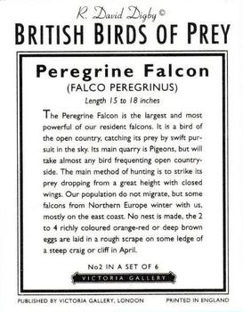 1996 Victoria Gallery British Birds of Prey Series 2 #2 Peregrine Falcon Back