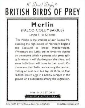1996 Victoria Gallery British Birds of Prey Series 2 #6 Merlin Back