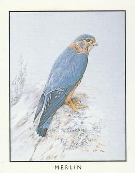 1996 Victoria Gallery British Birds of Prey Series 2 #6 Merlin Front