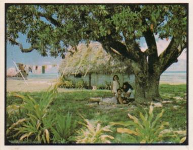 1974 Sanitarium Our South Pacific Island Neighbours #8 Tonga. Tongan 