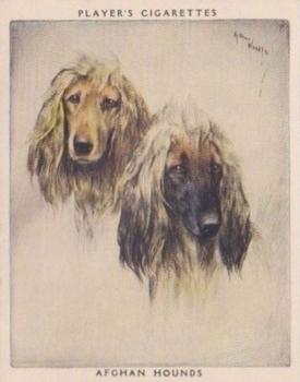 1955 Player's Dogs Pairs and Groups (Large) (Unissued) #1 Afghan Hounds Front