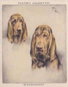 1955 Player's Dogs Pairs and Groups (Large) (Unissued) #4 Bloodhounds Front