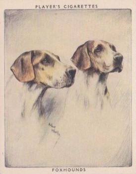 1955 Player's Dogs Pairs and Groups (Large) (Unissued) #7 Foxhounds Front
