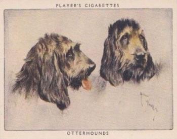 1955 Player's Dogs Pairs and Groups (Large) (Unissued) #9 Otterhounds Front