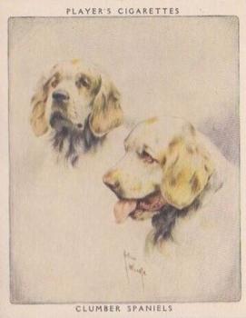 1955 Player's Dogs Pairs and Groups (Large) (Unissued) #16 Clumber Spaniels Front