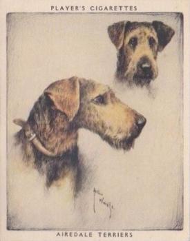 1955 Player's Dogs Pairs and Groups (Large) (Unissued) #22 Airedale Terriers Front