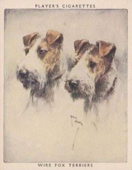 1955 Player's Dogs Pairs and Groups (Large) (Unissued) #24 Wire Fox Terriers Front