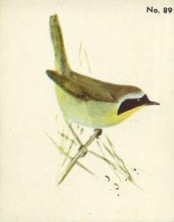 1952 Parkhurst Audubon Society Birds (V339-2) #89 Maryland Yellow-throat Front