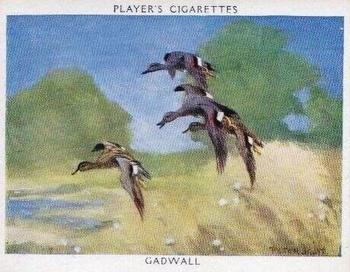 1937 Player's Wildfowl #6 Gadwall Front