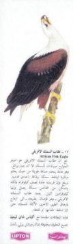 1970 Lipton Tea Birds of Prey (Arabic Text) #NNO African Fish Eagle Front