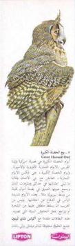 1970 Lipton Tea Birds of Prey (Arabic Text) #NNO Great Horned Owl Front