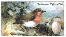 1919 Gallaher Birds Nests & Eggs Series #2 Robin Front