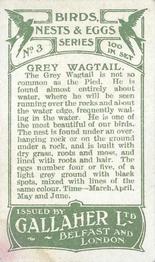 1919 Gallaher Birds Nests & Eggs Series #3 Grey Wagtail Back