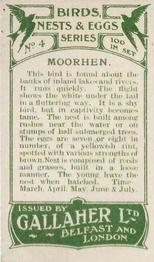 1919 Gallaher Birds Nests & Eggs Series #4 Moorhen Back