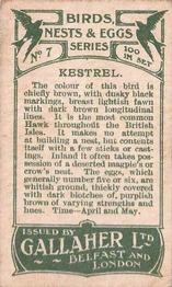 1919 Gallaher Birds Nests & Eggs Series #7 Kestrel Back