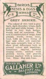 1919 Gallaher Birds Nests & Eggs Series #8 Grey Shrike Back