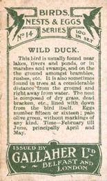 1919 Gallaher Birds Nests & Eggs Series #14 Wild Duck Back