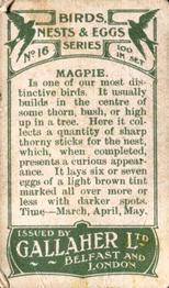 1919 Gallaher Birds Nests & Eggs Series #16 Magpie Back