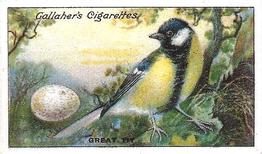 1919 Gallaher Birds Nests & Eggs Series #18 Great Tit Front