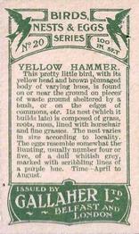 1919 Gallaher Birds Nests & Eggs Series #20 Yellow Hammer Back