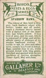 1919 Gallaher Birds Nests & Eggs Series #21 Sparrow Hawk Back