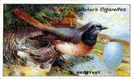 1919 Gallaher Birds Nests & Eggs Series #23 Redstart Front