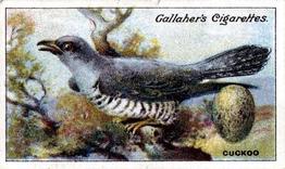 1919 Gallaher Birds Nests & Eggs Series #24 Cuckoo Front