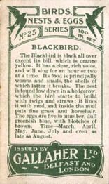 1919 Gallaher Birds Nests & Eggs Series #25 Blackbird Back