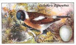 1919 Gallaher Birds Nests & Eggs Series #26 Stonechat Front