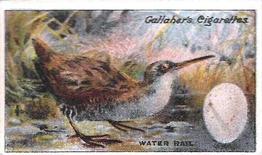 1919 Gallaher Birds Nests & Eggs Series #27 Water Rail Front