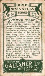 1919 Gallaher Birds Nests & Eggs Series #31 Common Wren Back