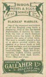 1919 Gallaher Birds Nests & Eggs Series #35 Blackcap Warbler Back