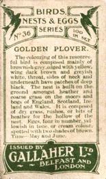 1919 Gallaher Birds Nests & Eggs Series #36 Golden Plover Back