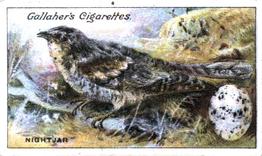 1919 Gallaher Birds Nests & Eggs Series #37 Nightjar Front