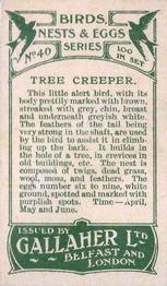 1919 Gallaher Birds Nests & Eggs Series #40 Tree Creeper Back