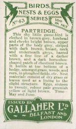 1919 Gallaher Birds Nests & Eggs Series #43 Partridge Back