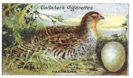 1919 Gallaher Birds Nests & Eggs Series #43 Partridge Front