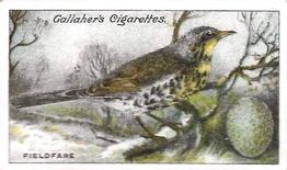 1919 Gallaher Birds Nests & Eggs Series #48 Fieldfare Front