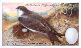 1919 Gallaher Birds Nests & Eggs Series #49 Sand Martin Front