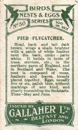 1919 Gallaher Birds Nests & Eggs Series #50 Pied Flycatcher Back